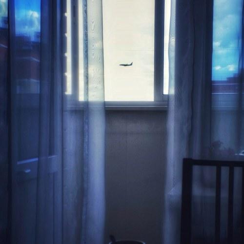 Photo #4305755
