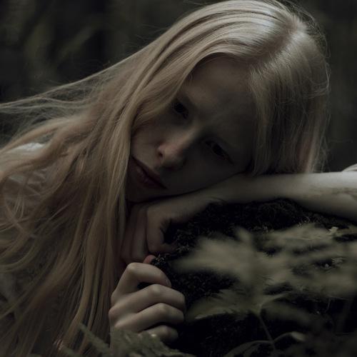 Photo #4305874
