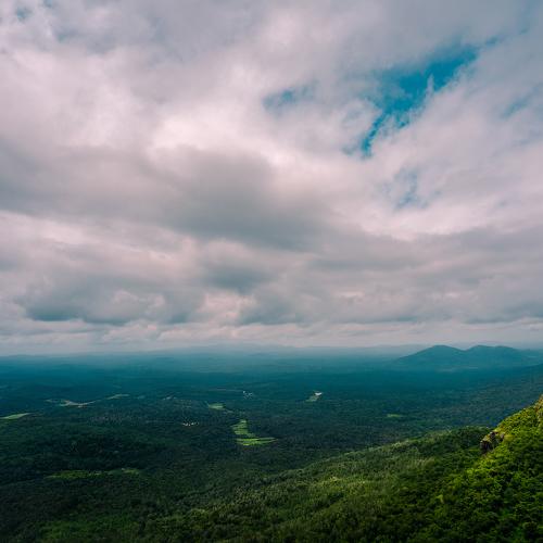 Elephant's View