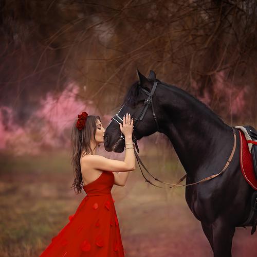 Photo #4306013