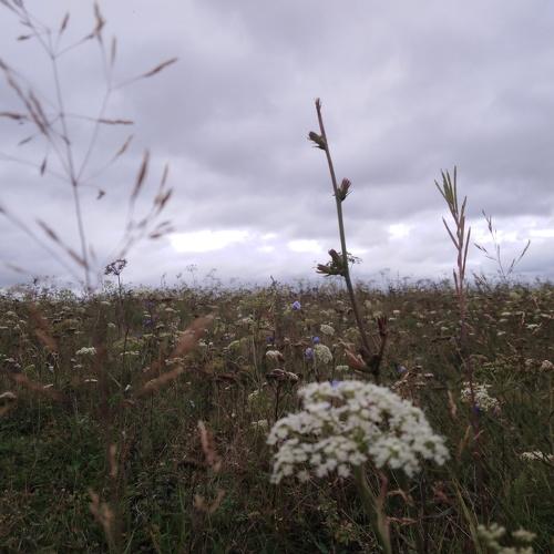 Photo #4306286