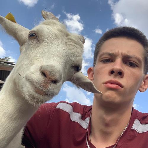 Photo #4306296