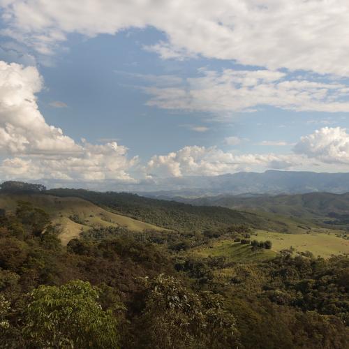 Photo #4306981