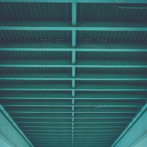 Photo #4306984