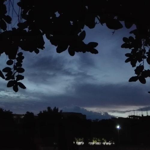 Photo #4307344