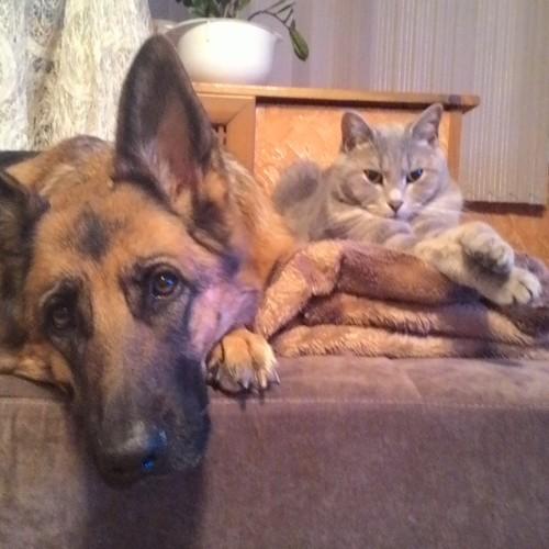 Photo #4307584