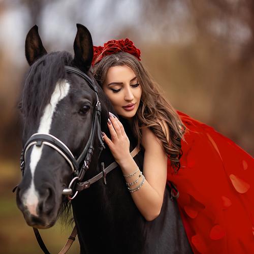 Photo #4307629