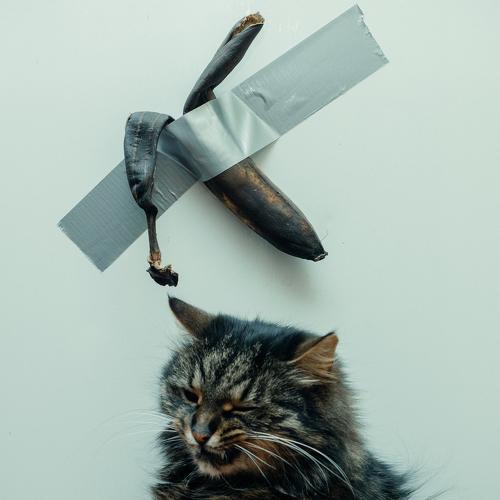 Photo #4307740