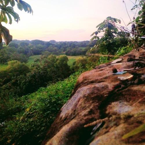 Photo #4307920