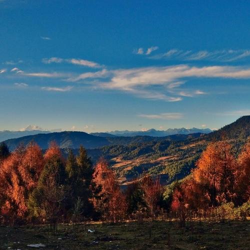 Photo #4308057