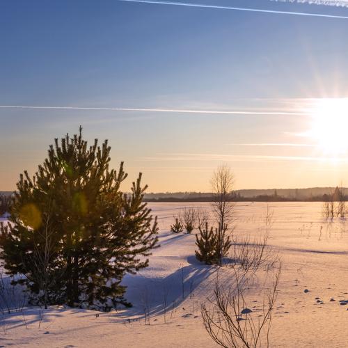 Photo #4308108