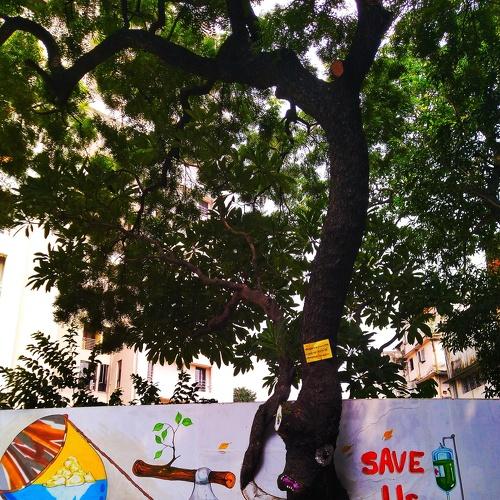 Photo #4308227