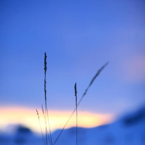 Photo #4308351