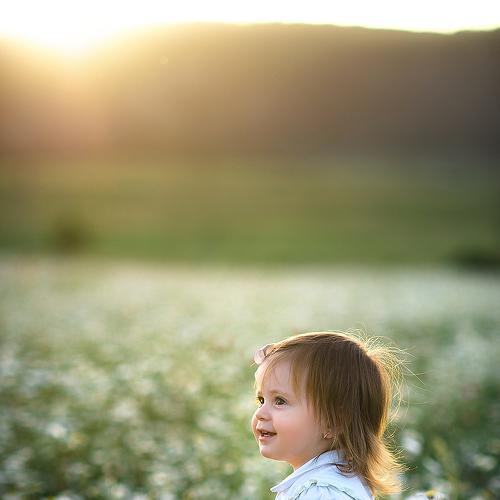 Photo #4309191