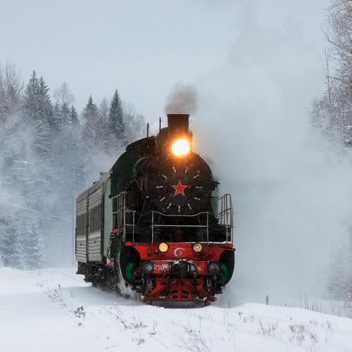 Photo #4310491