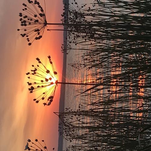 Photo #4310890