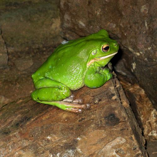 Photo #4310943