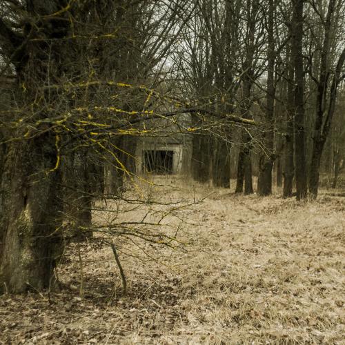 Photo #4311442