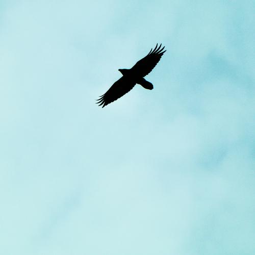 Photo #4311928