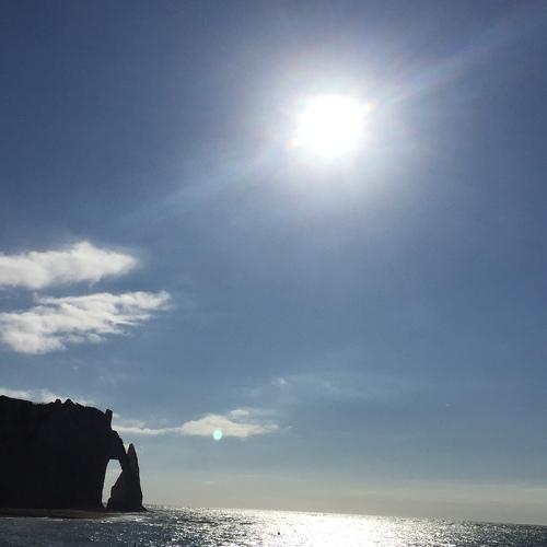 Photo #4312259