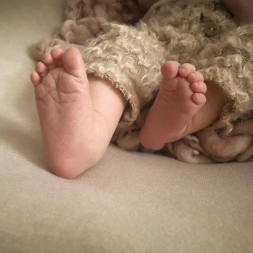 Photo #4312356