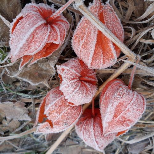 Photo #4312639