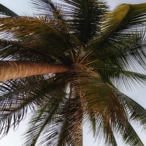 Photo #4313058