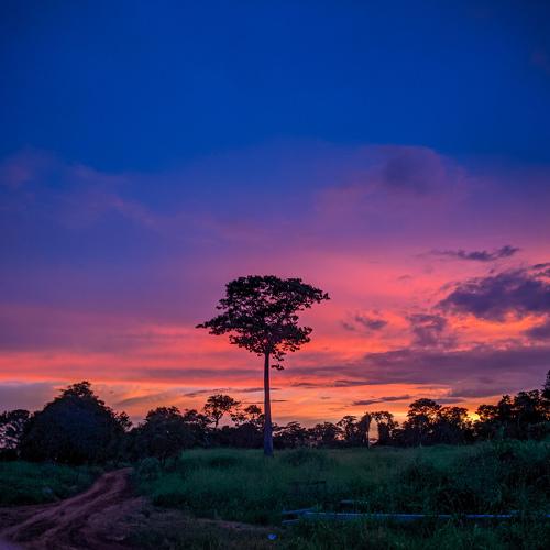 Photo #4313176