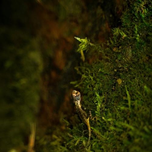 Photo #4313236
