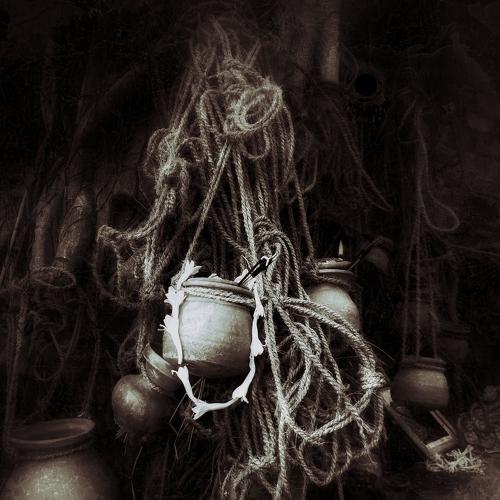 Photo #4313465