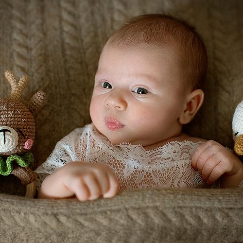 Photo #4314769