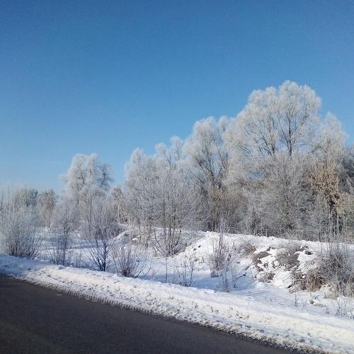 Photo #4314913