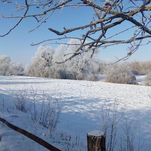 Photo #4314971