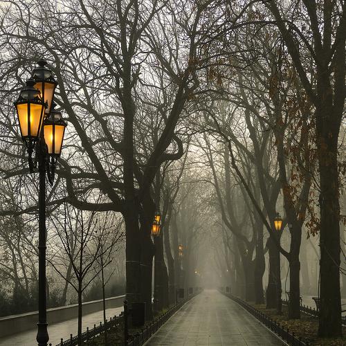 Photo #4315000