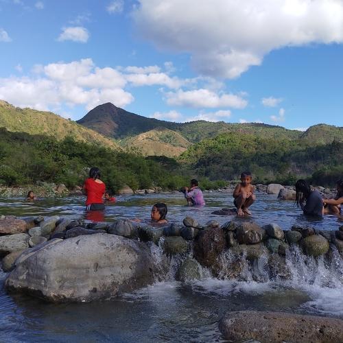 Photo #4315014