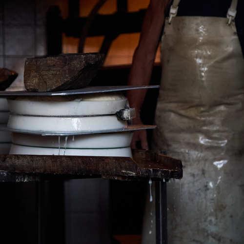 Goat cheese production in the mountains