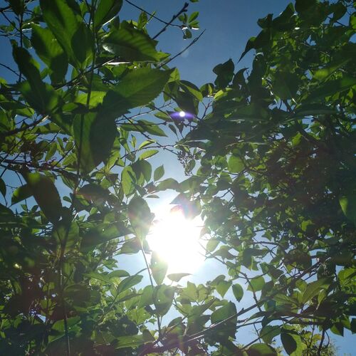 Photo #4315563