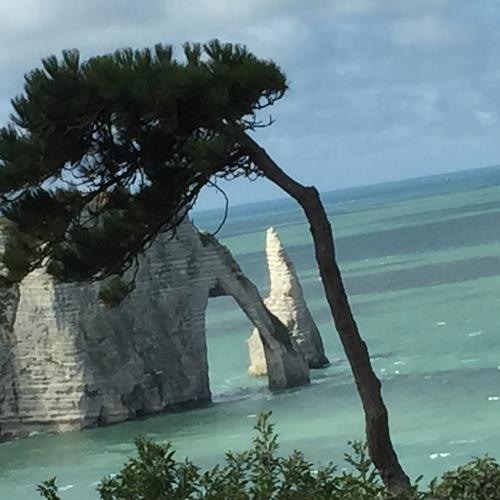 Photo #4315741
