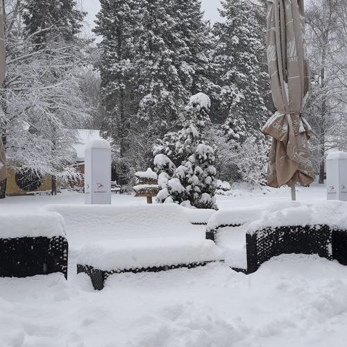 Photo #4315819