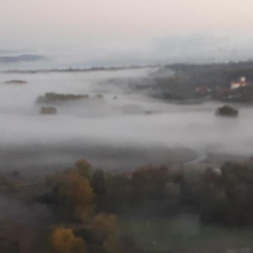 Photo #4315830