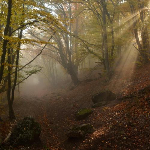 Photo #4316048