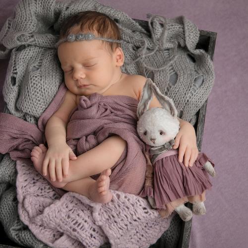 Photo #4316144