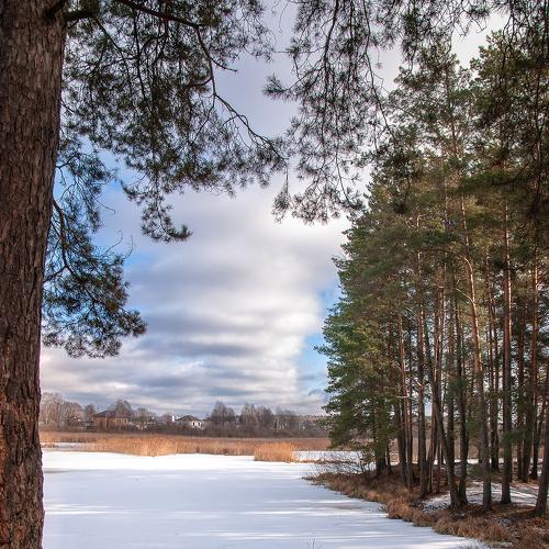 Photo #4316191