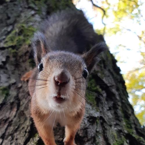 Photo #4316393