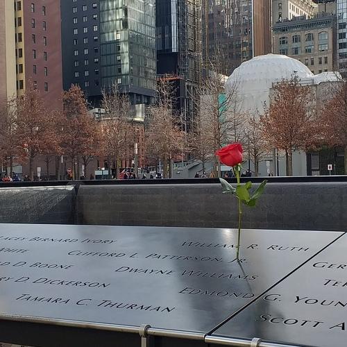 Photo #4316407