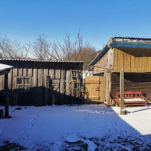 Photo #4316860
