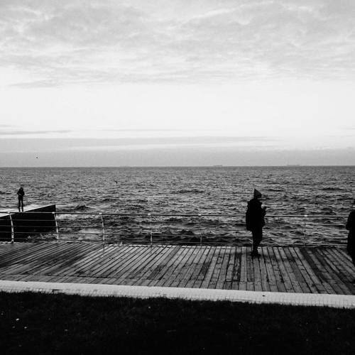 Photo #4317199