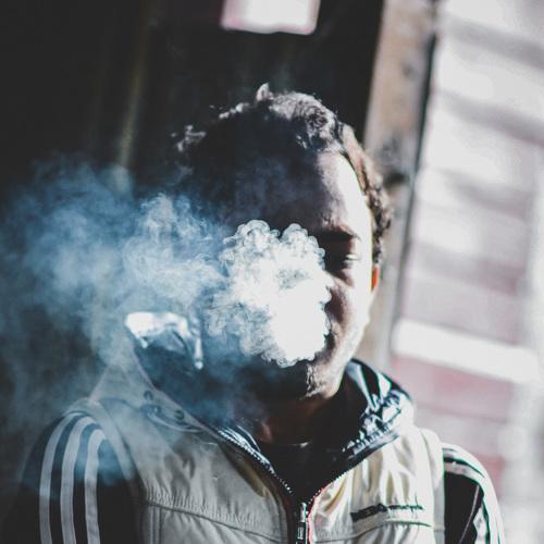 Photo #4317249