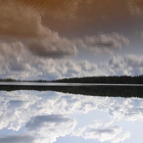Photo #4317343