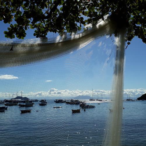 Entre barcos y redes
